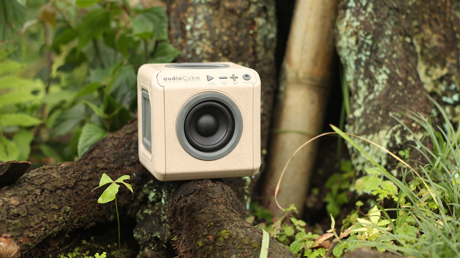 Featured image for mobile buying guide