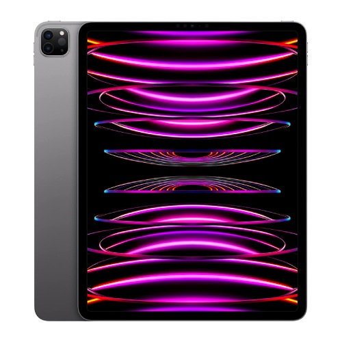 iPad Pro 12.9 (2022) - Space Grey