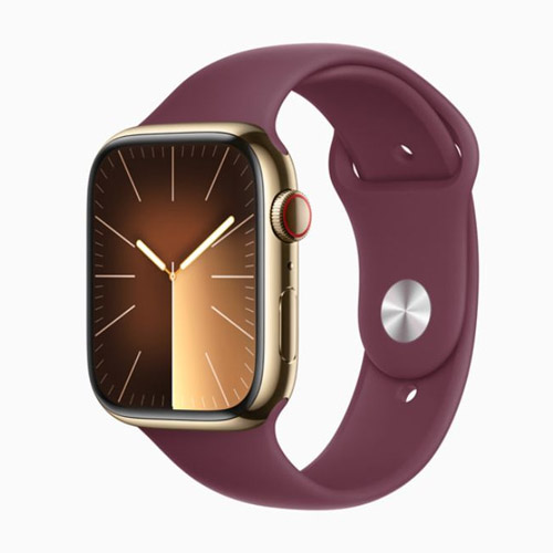 Apple Watch Series 9 - Stainless Steel Gold