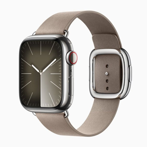 Apple Watch Series 9 - Stainless Steel Silver
